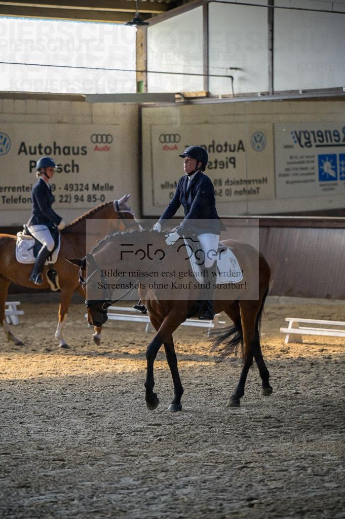 Reitturnier Voxtrup | Entdecke hochwertige Reitturnierfotos von Foto Oger. Professionell, emotional und authentisch – jetzt Lieblingsmomente im Shop bestellen.Deutschlandweite Turnierfotografie. - Realisiert mit Pictrs.com