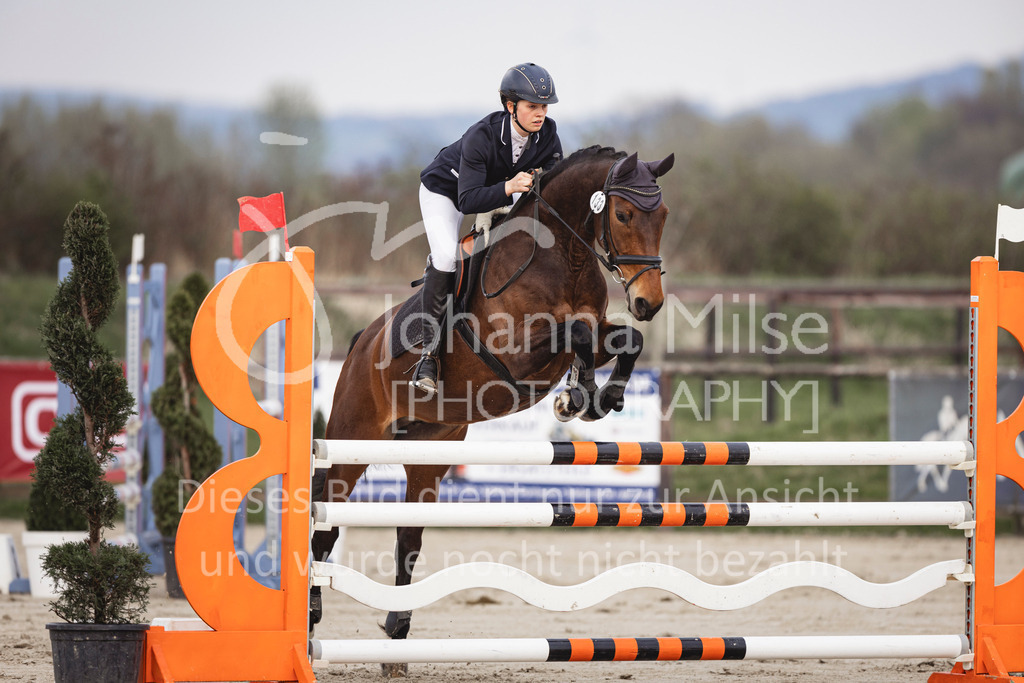 240327_Fruehlingsfest_Stil-L-1-312 | Deine schönsten Turniermomente als professionelle Fotos! Entdecke hochwertige Pferdesport-Fotografie im Online-Shop. Jetzt Fotos finden & bestellen!