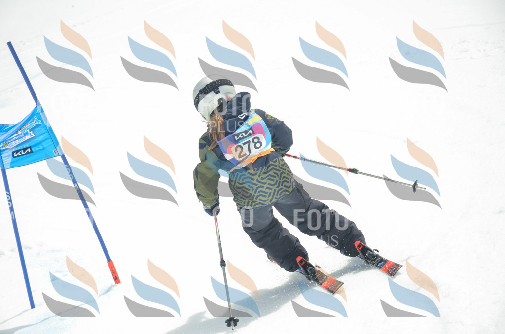 _ELE7910 | holidayphoto