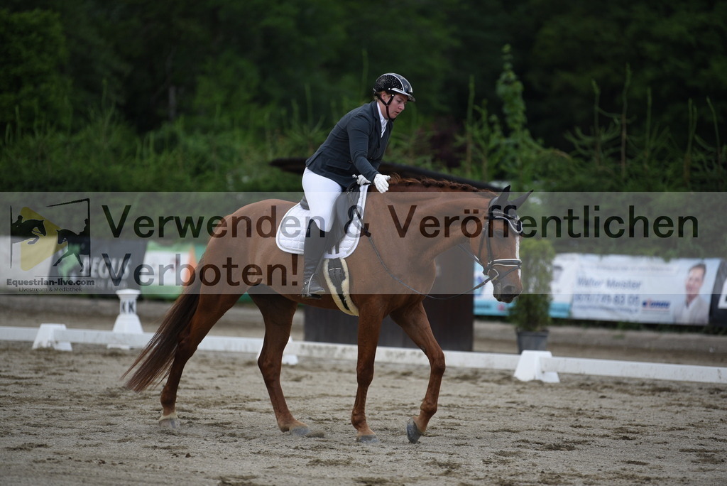 DSC_6462 | equestrian-live-com