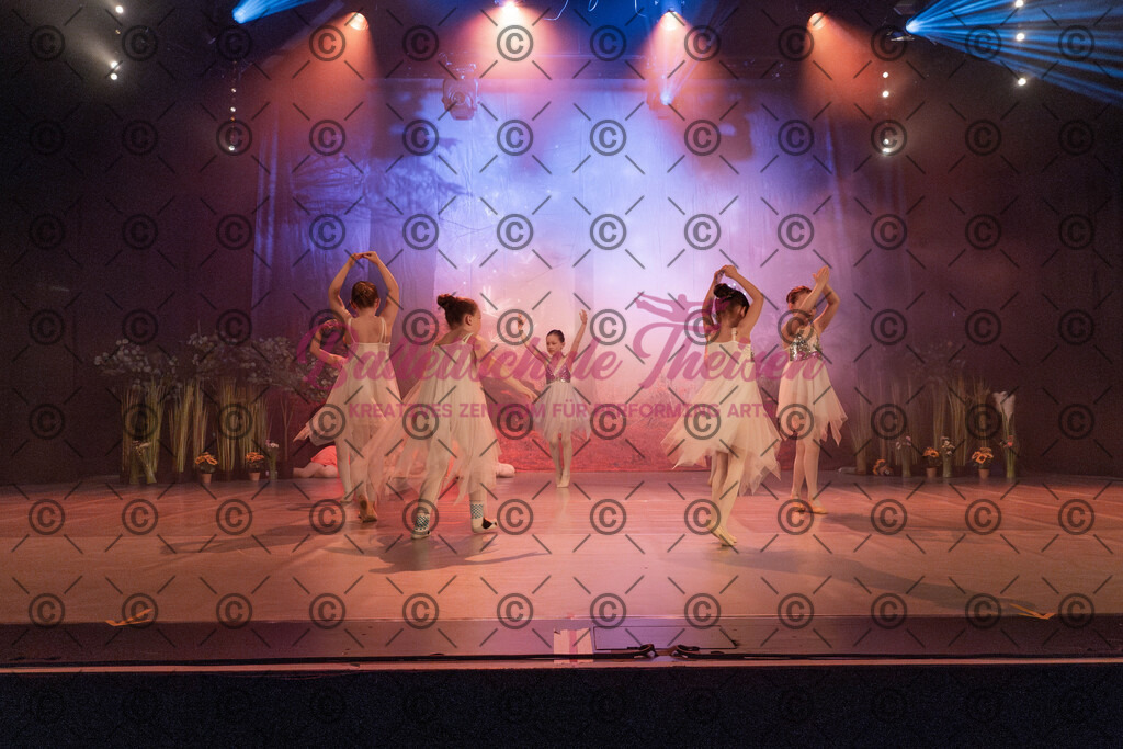 Ballettaufführung-1092 | Bildershop Lem'n Entertainment - Realisiert mit Pictrs.com