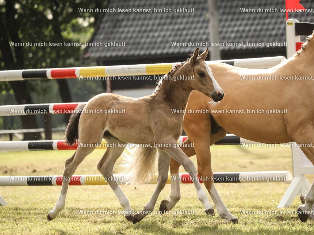 598A2189-2 | photographylinaismer - Realisiert mit Pictrs.com