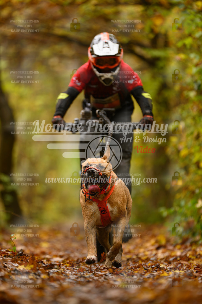 MompixPhotography_CD7S_DI_Bike-50 | mompixphotography
