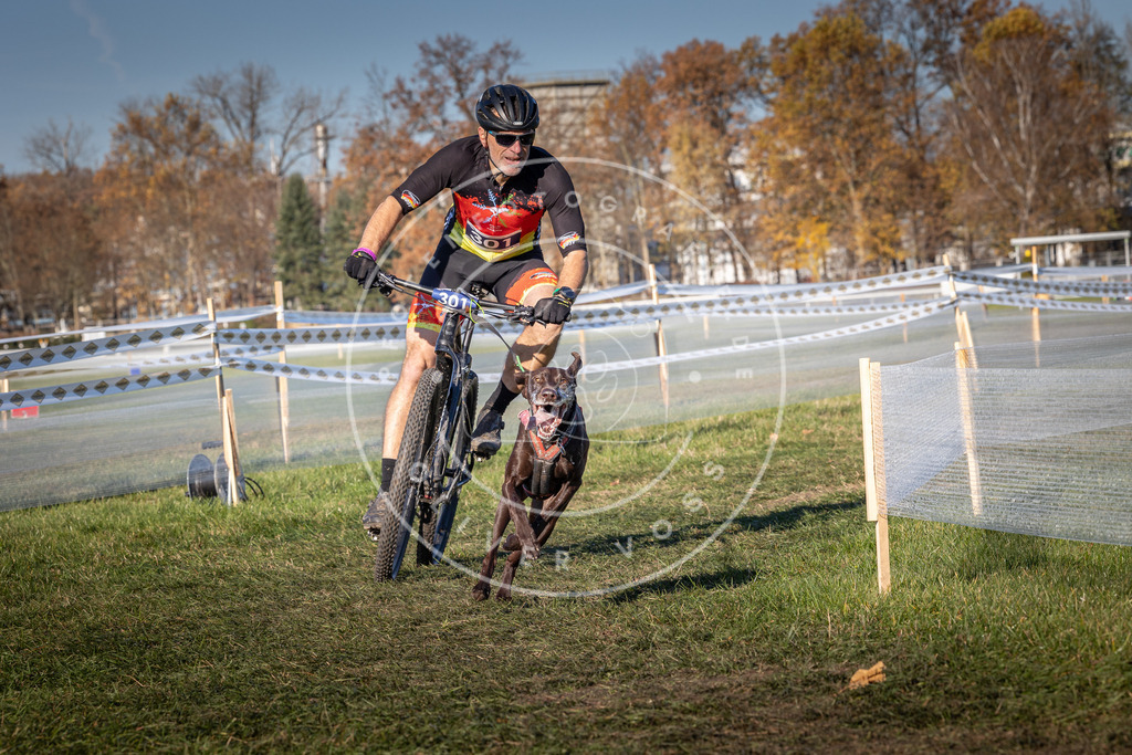 CaniXpix_0L8A5449 | Hundefotografie, Tierfotograf, Pfotenfotografie, Fotoshooting Hund, Hunde Portrait, Hundesport, Hundeportraits, Heideshooting, Hunde, Sportfotograf, Hundefotograf, Turnierhundsport, THS,  - Realisiert mit Pictrs.com