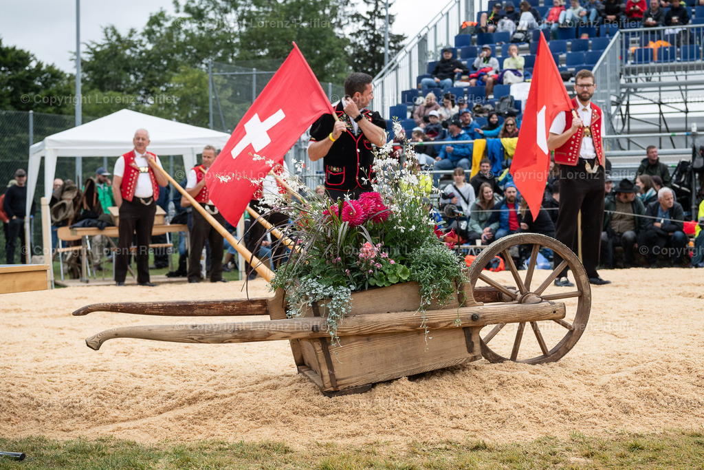 Schwingen -  Appenzeller Kantonal Schwingfest 2024 | Hundwil, 7.7.24, Schwingen - Appenzeller Kantonal Schwingfest.