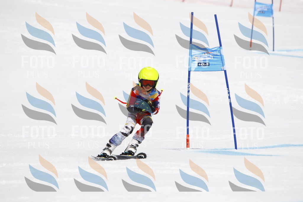 _U3G5109 | holidayphoto