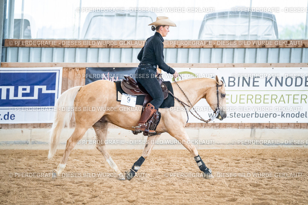 DSC03037 | Pferdegrafie