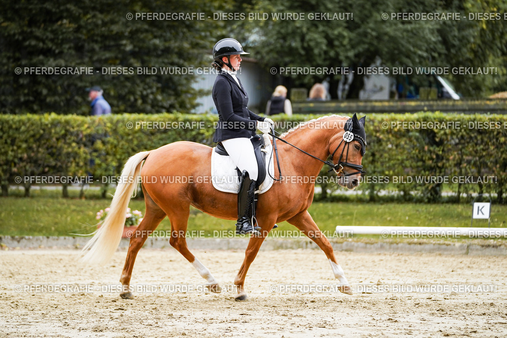 DSC08697 | Pferdegrafie