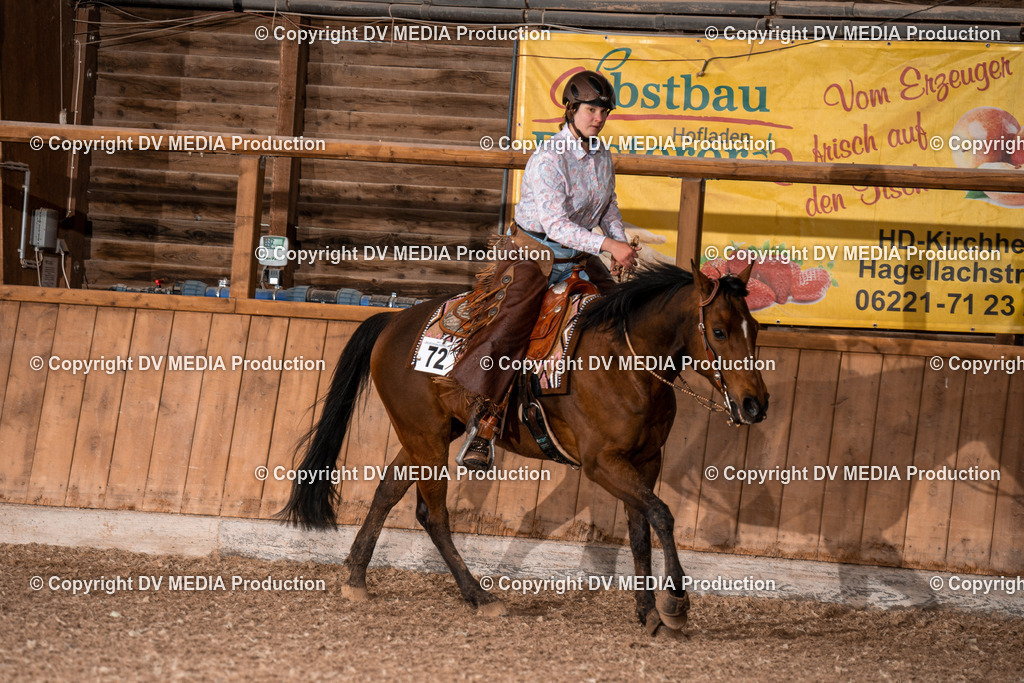 Heidelberg Tag 2-509 | dv-media-shop - Realisiert mit Pictrs.com