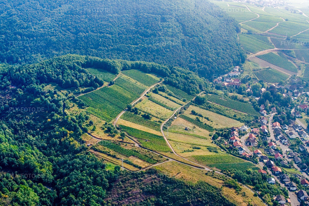 Luftbild: Haardtrand-Auf dem Schoeb in Albersweiler im Bundesland Rheinland-Pfalz in Deutschland. Foto: IMG_12140.jpg vom 31.07.2008 durch Werner Riehm/FLY-FOTO.de