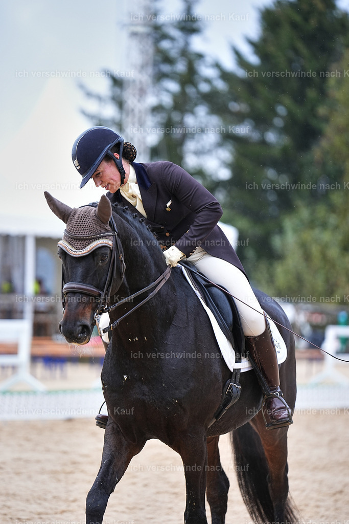 07-191-DRESSUR  S___  -Marixx-5128 | working equitationturnier fotograf videograf stoibphotography marixx film working equitation deutschland reitsport turnierfotografie eventfotografie equestrian events
