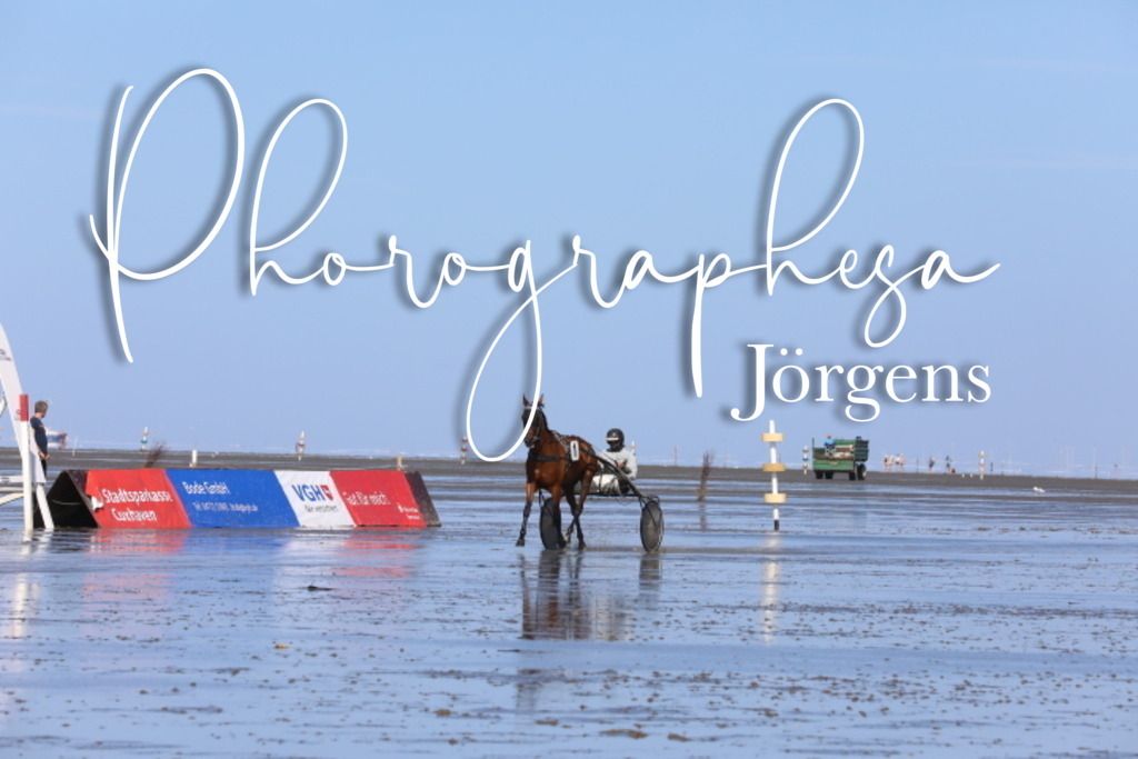 IMG_0112 | photographesa-joergens - Realisiert mit Pictrs.com