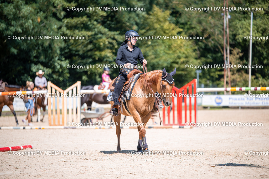 ZS1_1416 | dv-media-shop - Realisiert mit Pictrs.com