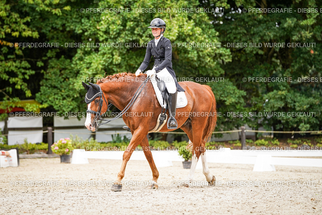 DSC05826 | Pferdegrafie