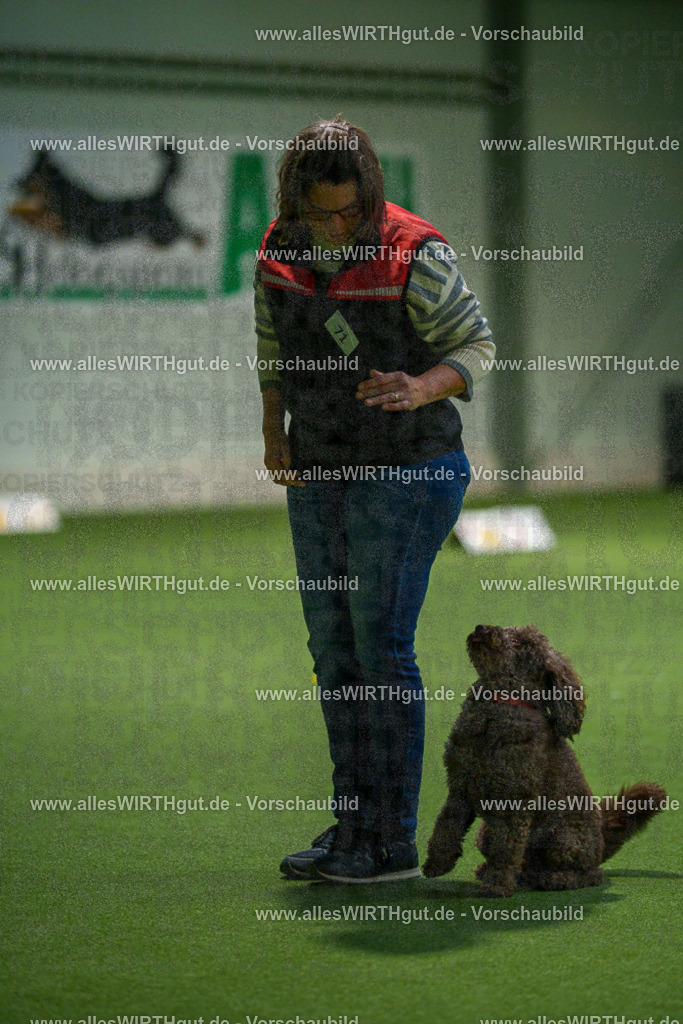 7R508400 | Professionelle Tierfotografie in Mönchengladbach von Daniel Wirth (allesWIRTHgut). Liebevolle & natürliche Bilder von Hunden & Katzen für unvergessliche Erinnerungen.