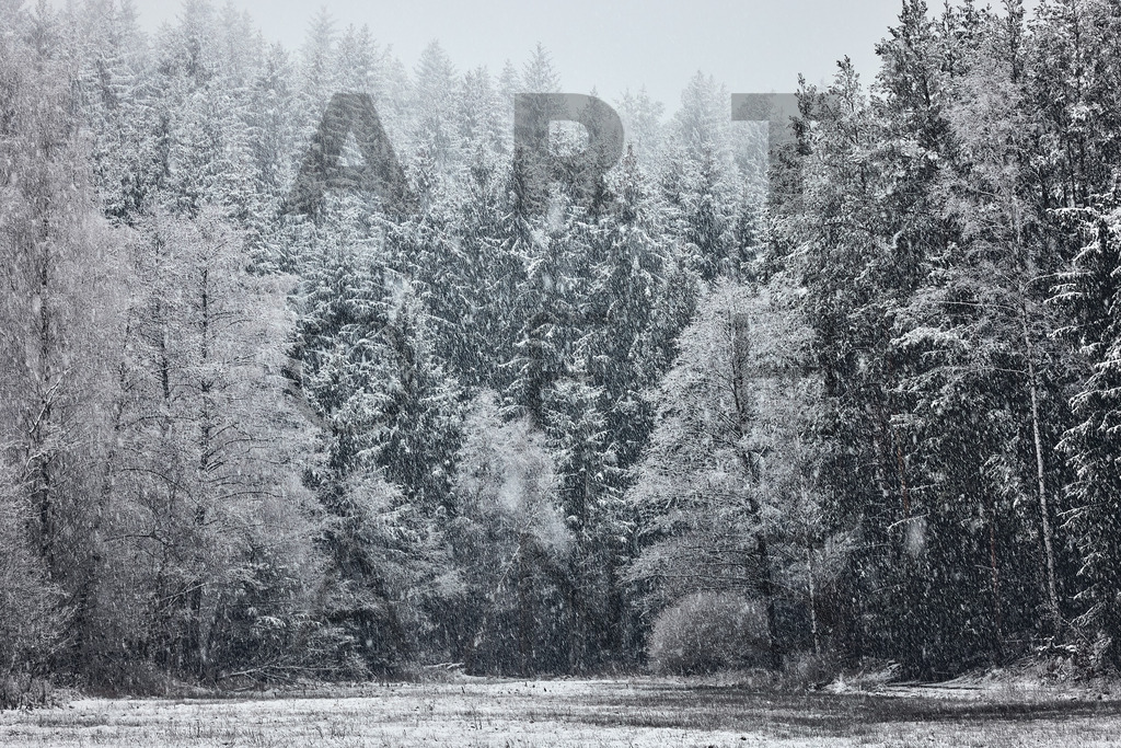 Ein Hans Fineart Original | Entdecke die Kunst von Hans Fineart - Fotografien für dein Zuhause. Verwandle deine Wände mit einzigartigen Kunstwerken und bringe die Schönheit der Welt in dein Leben. Bestelle jetzt und schaffe einen Ort der Inspiration und Eleganz.