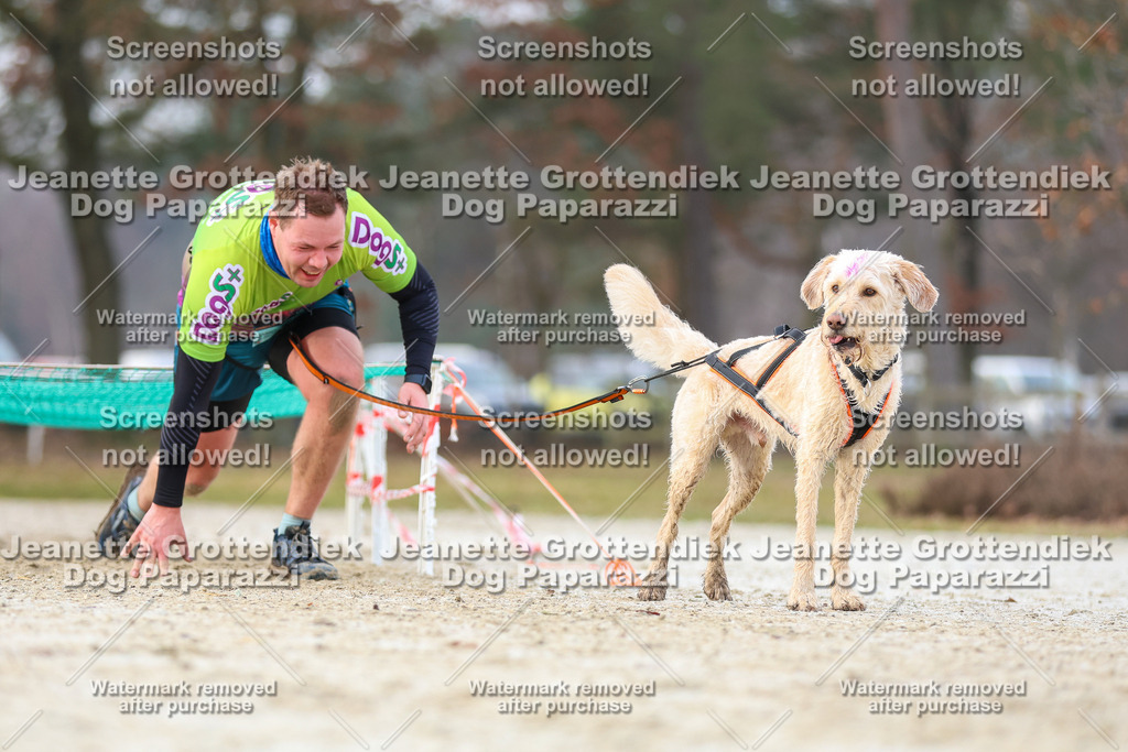 Dog Paparazzi - Strongdog North Mrz26-3903 | Dog Paparazzi Jeanette Grottendiek Fotografie & Videografie - Realisiert mit Pictrs.com
