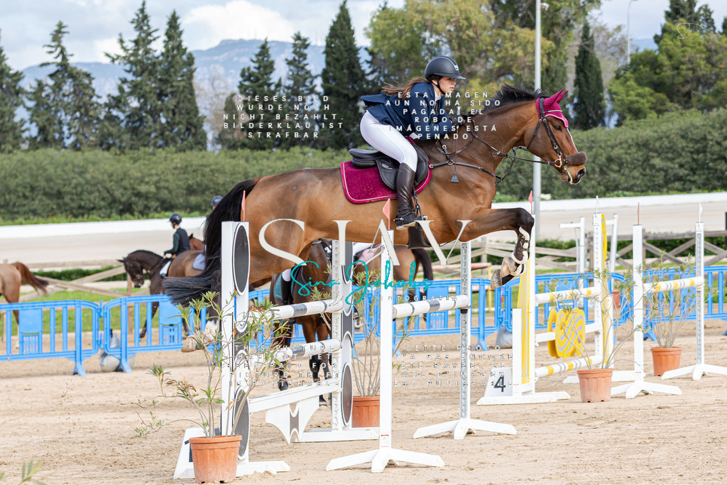 IMG_2636 | s-jay-photography - Realisiert mit Pictrs.com