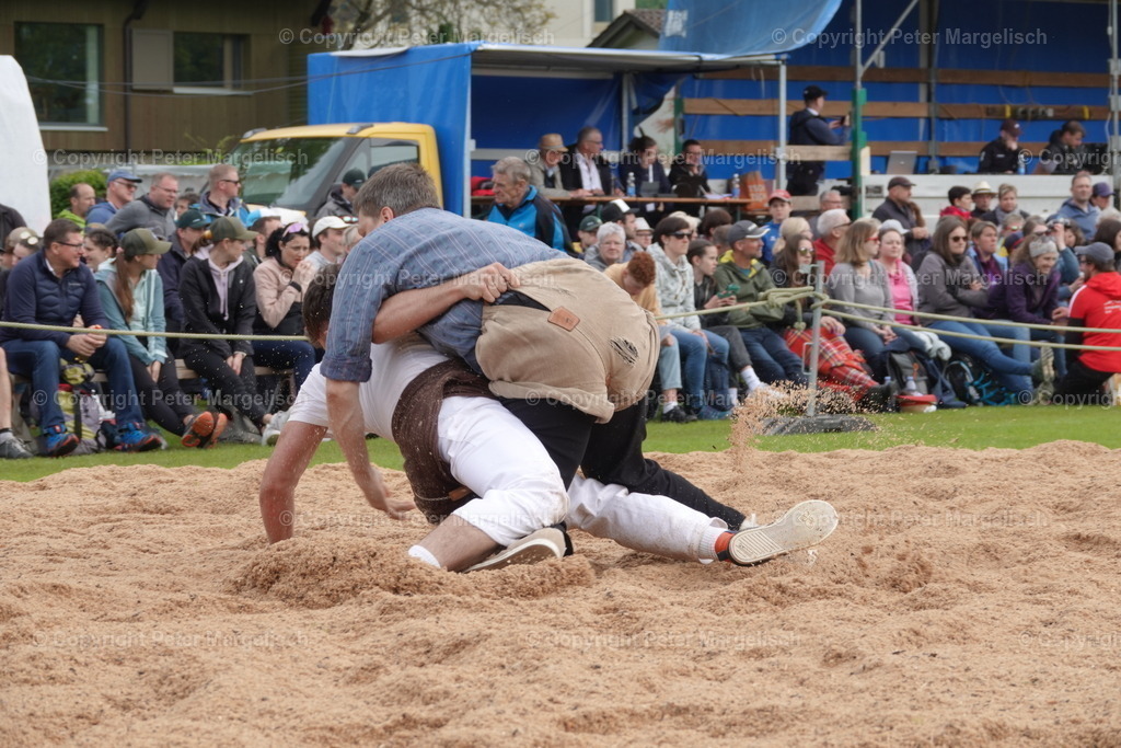 DSC04067 | Schwingen - Realisiert mit Pictrs.com