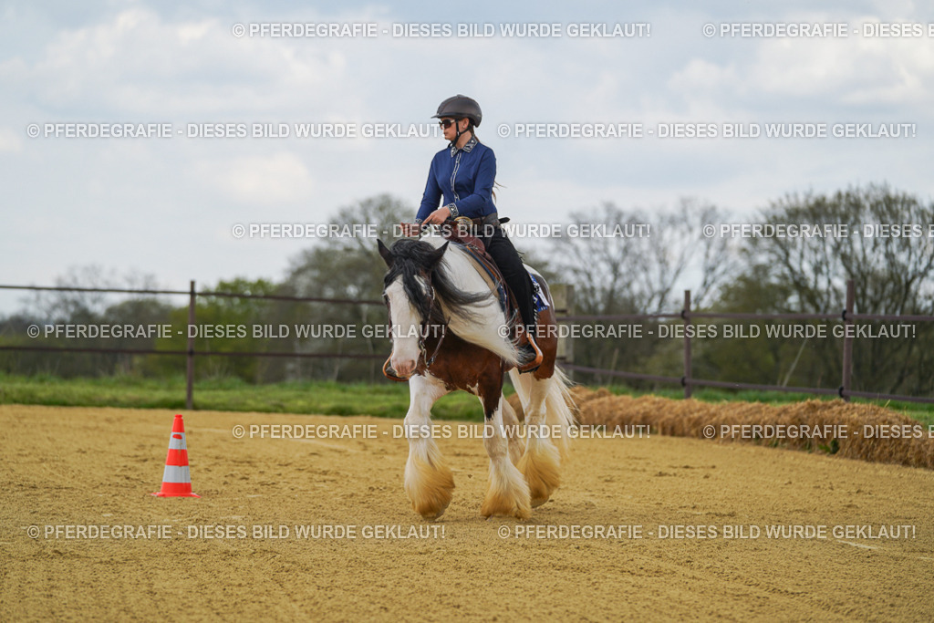 DSC05967 | Pferdegrafie