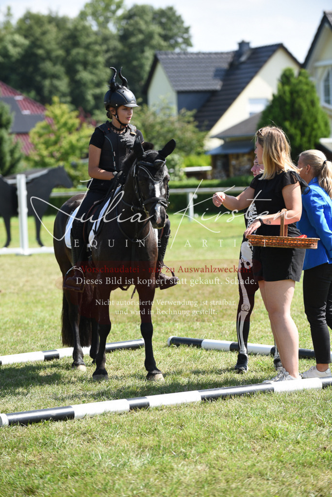 DSC_0482 | Pferde- und Turnierfotografie in Westsachsen. Pferdeportraits, Auftragszeichnungen und intuitive Kunst.