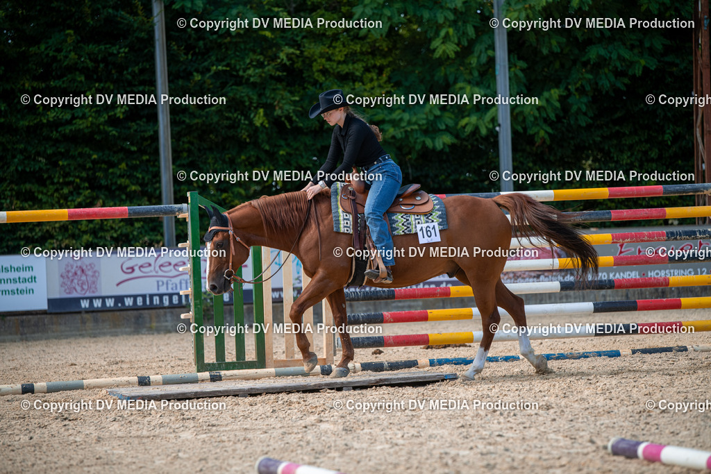 EWP_6864 | dv-media-shop - Realisiert mit Pictrs.com