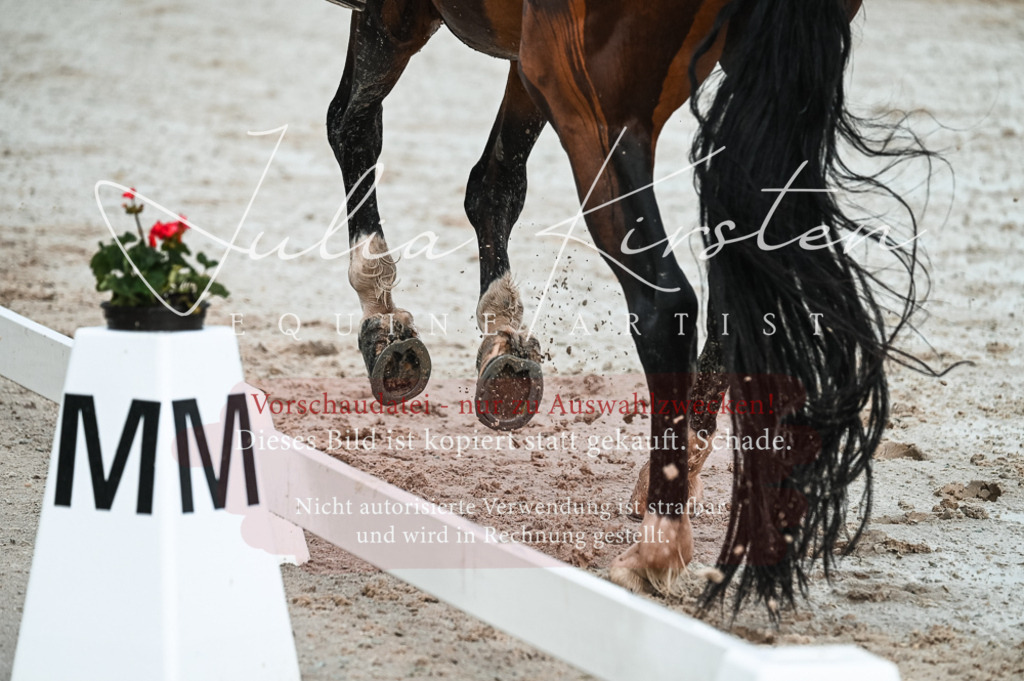 DSC_4179 | Pferde- und Turnierfotografie in Westsachsen. Pferdeportraits, Auftragszeichnungen und intuitive Kunst.