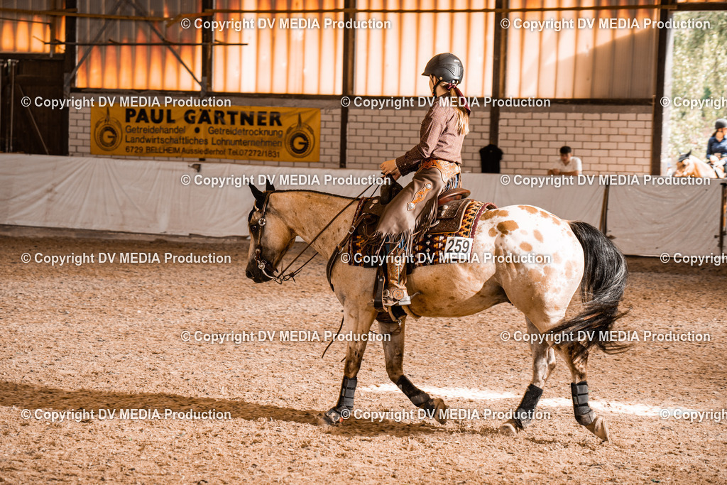 ZH200478 | dv-media-shop - Realisiert mit Pictrs.com