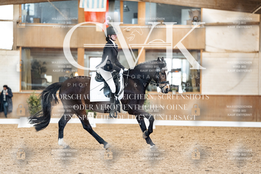 CK909791 | Turnierfotografie Pferdefotografie Trier Rheinland-Pfalz Pferdesport Reitsport Tierfotografie Sportfotografie Pferdevideo Pferdevideografie Equestrianvideography equestrianphotography  - Realisiert mit Pictrs.com