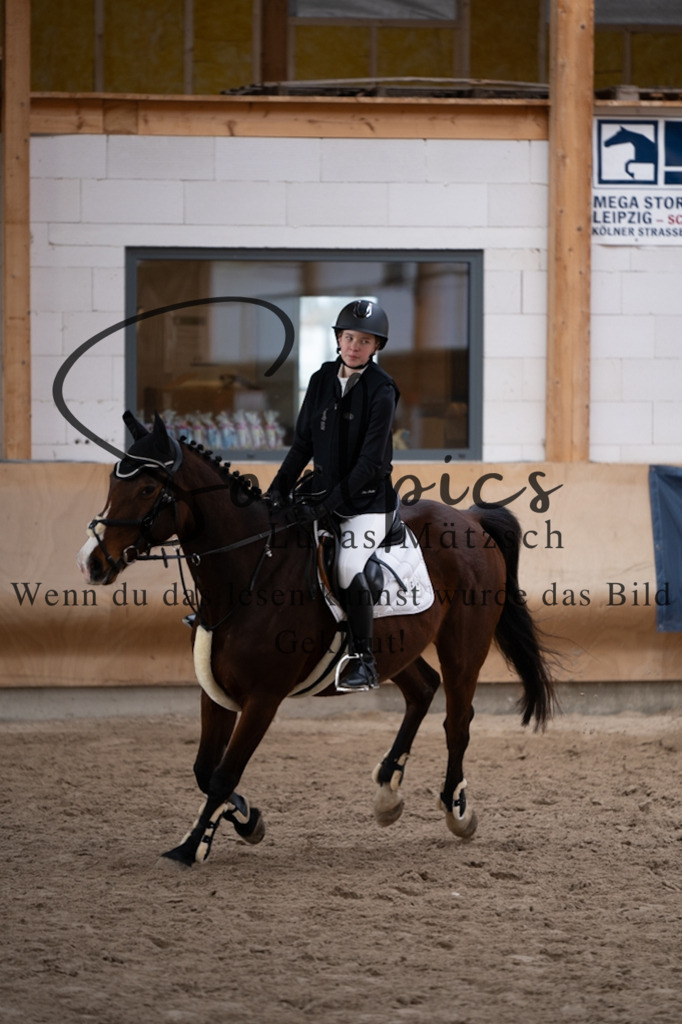 A7V00311 | Pferdefotograf