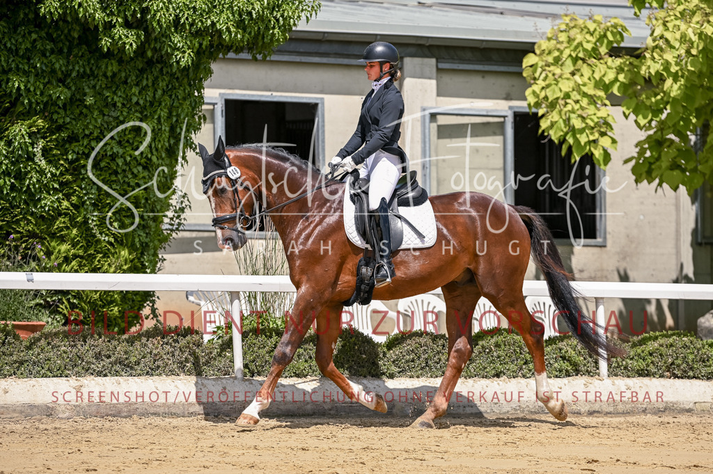 Schugtsche-Aluta25-48.Reitpferfdeprf.-260 | Schugtsche Fotografie - Realisiert mit Pictrs.com