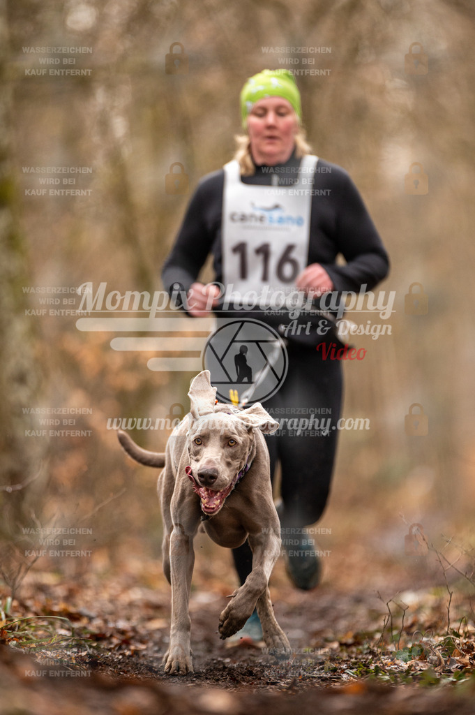 Reiat2023_SON_CaniXRun_5km_W-60 | PayLife