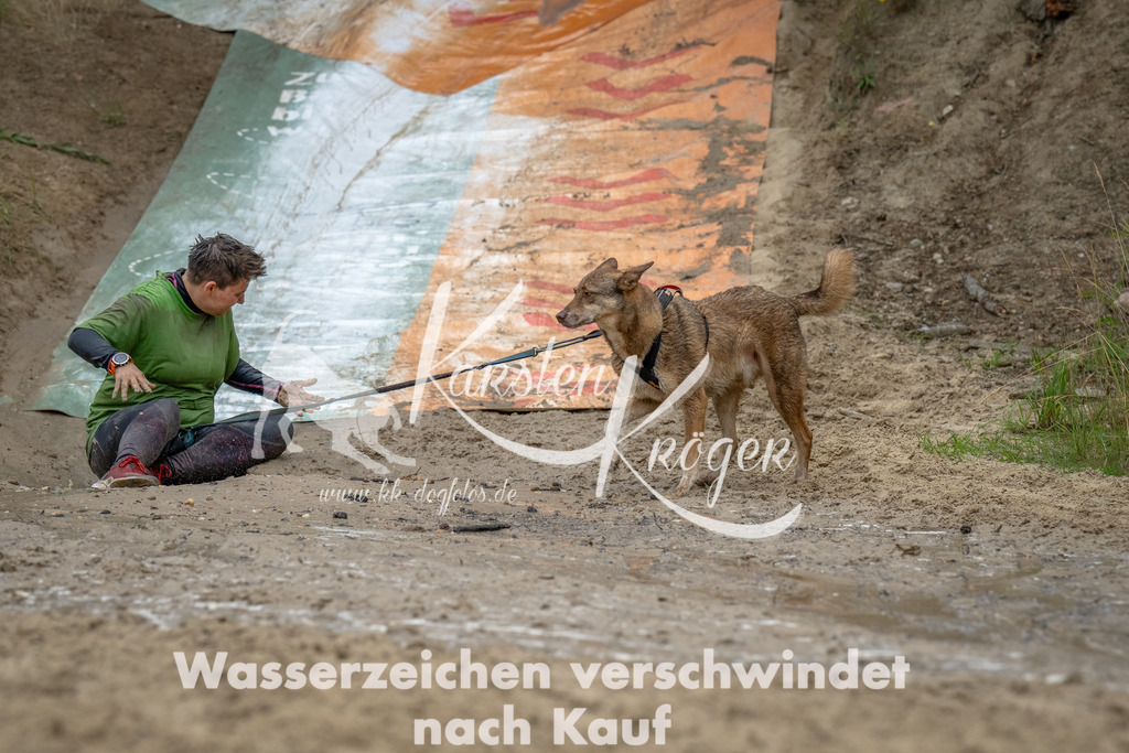 1659_ZZ91749-Bearbeitet | kk-dogfotos