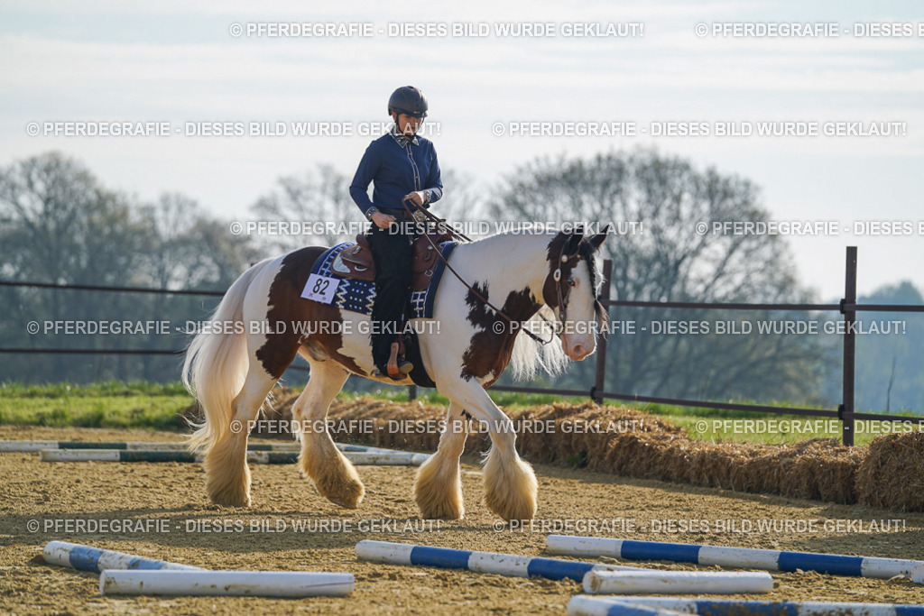 DSC00908 | Pferdegrafie