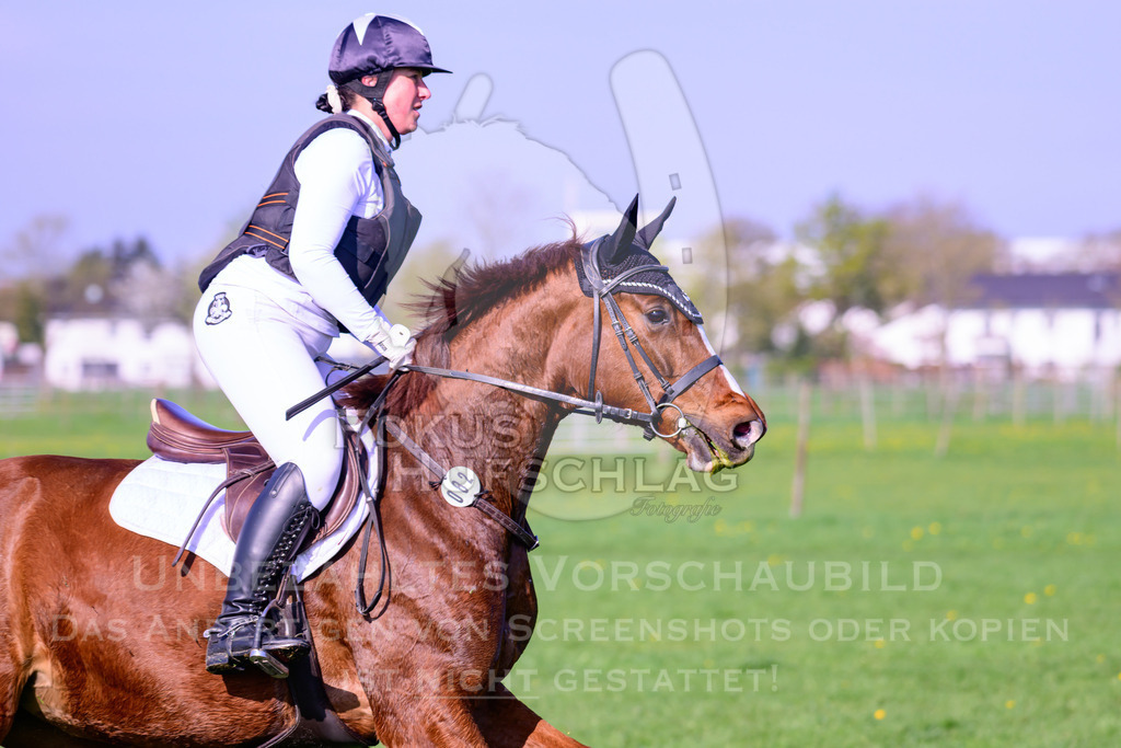 18042026-Gernlinden-02-0657 | Fokus Hufschlag Fotografie - Realisiert mit Pictrs.com