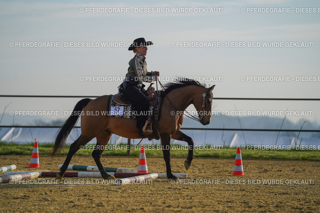 DSC00514 | Pferdegrafie