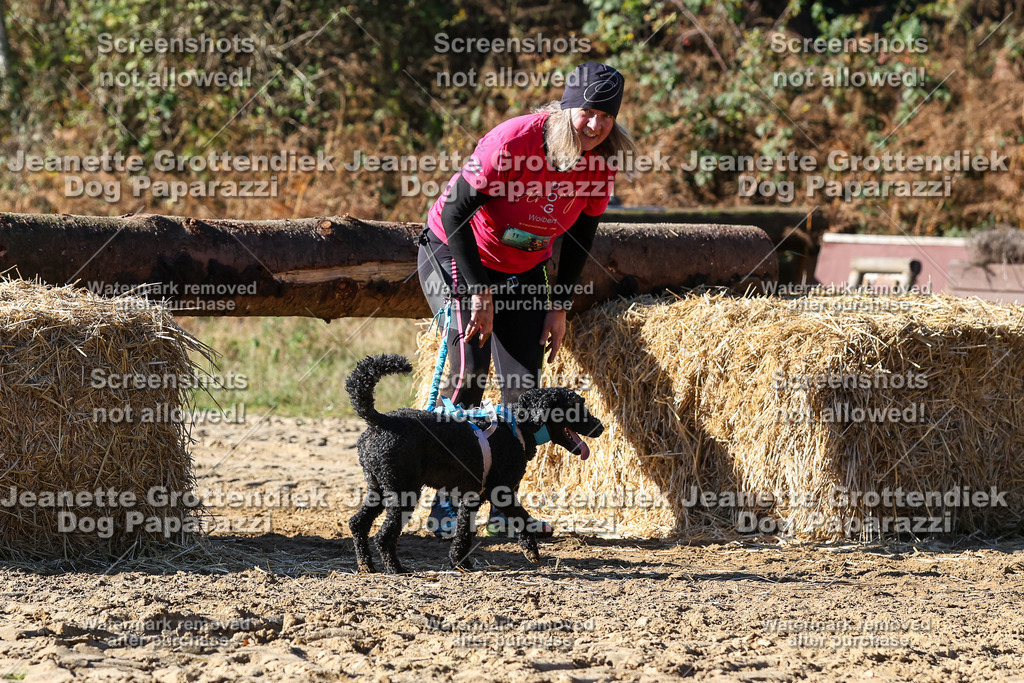 Dog Paparazzi - Strongdog 10-25-2697 | Dog Paparazzi Jeanette Grottendiek Fotografie & Videografie