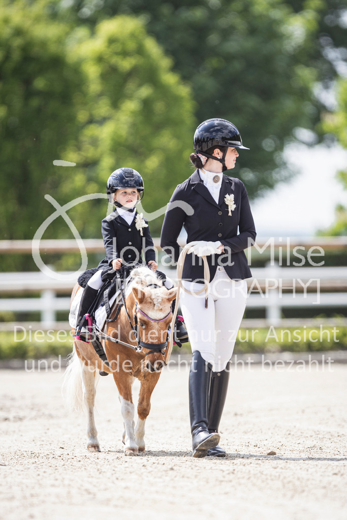 260509_PfSpTa_16_Führzügel-WB-602 | Deine schönsten Turniermomente als professionelle Fotos! Entdecke hochwertige Pferdesport-Fotografie im Online-Shop. Jetzt Fotos finden & bestellen!
