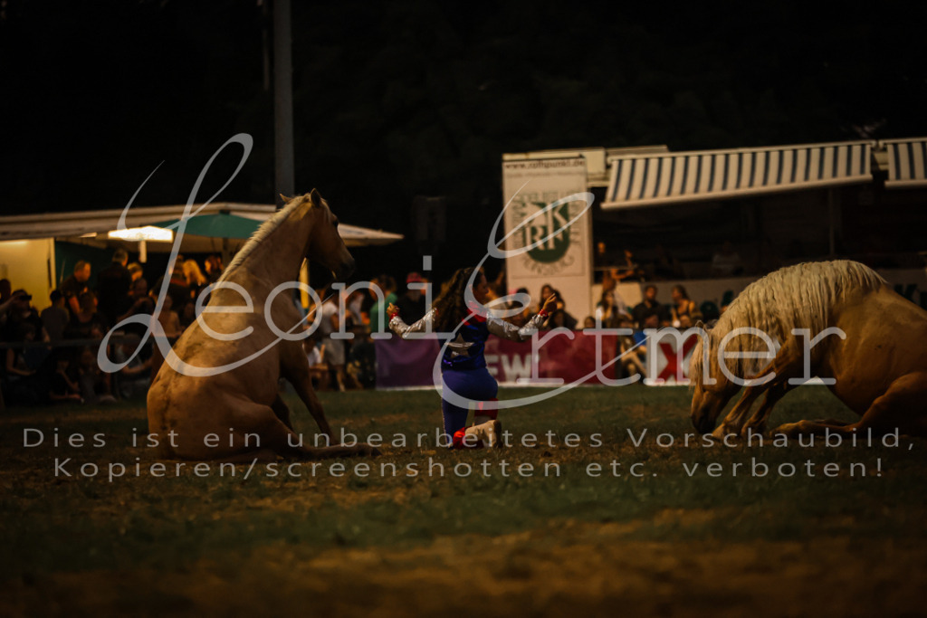 SaShow00292 | Leoni Ertmer Photography - Realisiert mit Pictrs.com