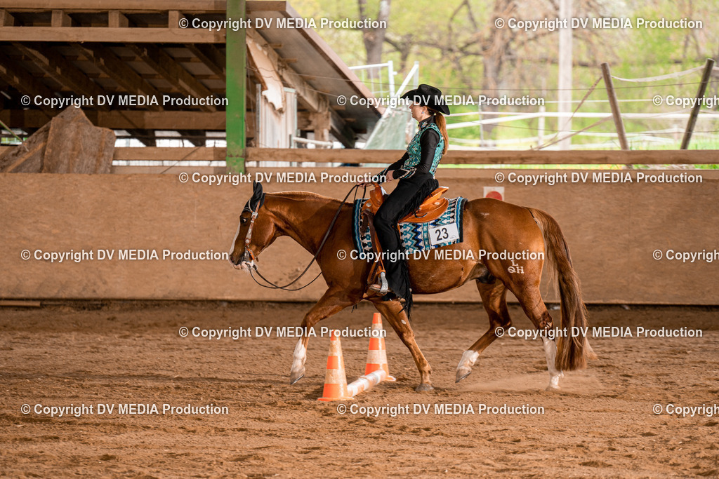 BA300896 | dv-media-shop - Realisiert mit Pictrs.com