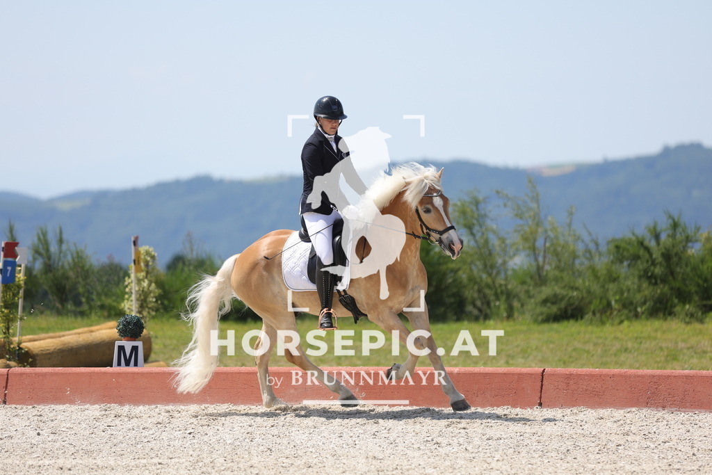 0P6A1179 | Willkommen bei Brunnmayr - Design & Fotografie – Ihrem Spezialisten für Reitturniere und Pferdeveranstaltungen in Oberösterreich, Salzburg und Bayern! Seit über 17 Jahren sind wir leidenschaftlich dabei.