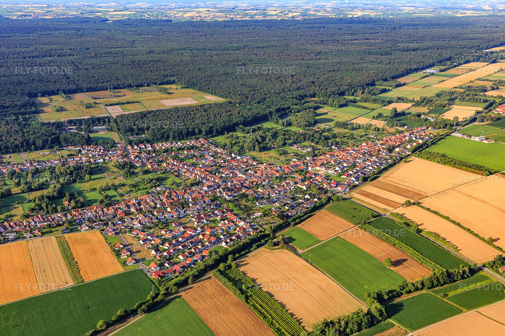 Luftbild: Ortsansicht von Norden im Ortsteil Schaidt in Wörth im Bundesland Rheinland-Pfalz in Deutschland. Foto: IMG_120999.jpg vom 04.07.2020 durch Werner Riehm/FLY-FOTO.de