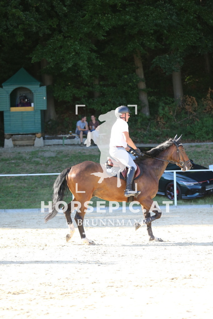 DL2Q4955 | Willkommen bei Brunnmayr - Design & Fotografie – Ihrem Spezialisten für Reitturniere und Pferdeveranstaltungen in Oberösterreich, Salzburg und Bayern! Seit über 17 Jahren sind wir leidenschaftlich dabei.