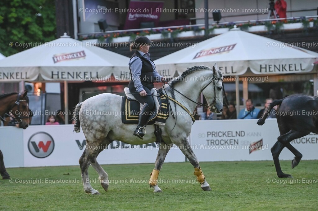 20230526_Pferdenacht_0767 | equistock