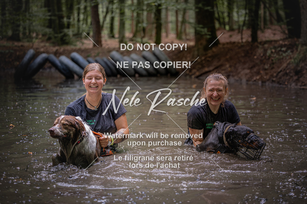 nelerasche_SaWingst1400-1500_23 | nelerasche