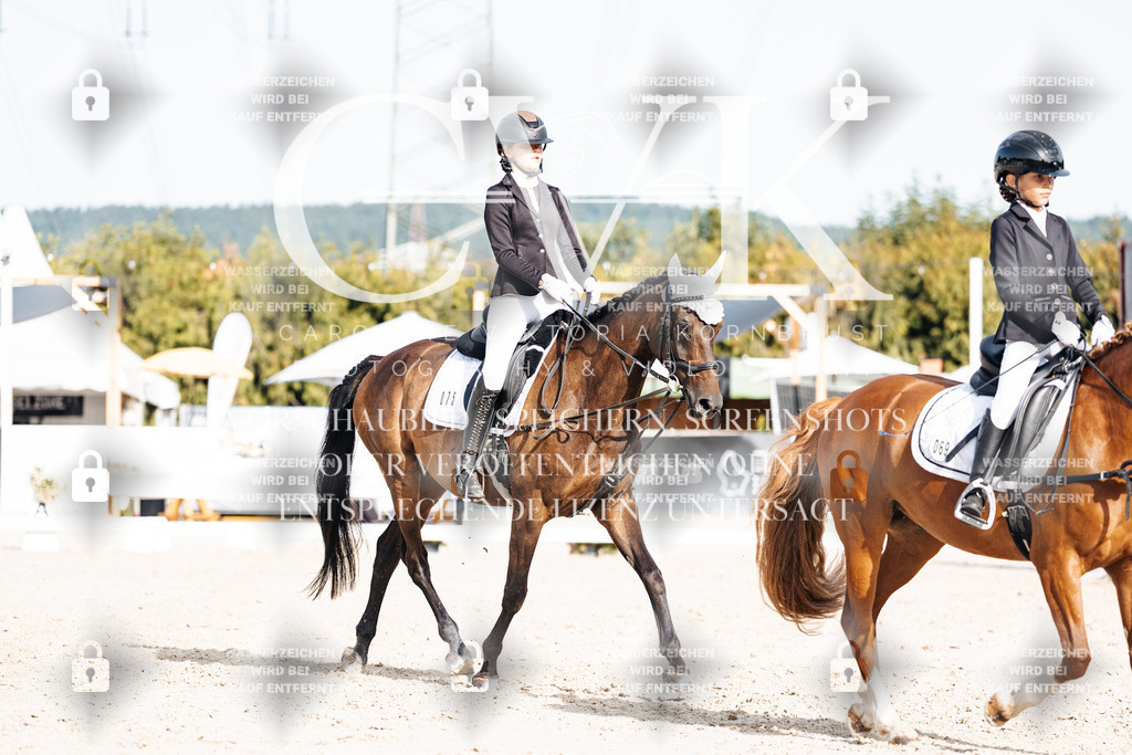 CK905246 | Turnierfotografie Pferdefotografie Trier Rheinland-Pfalz Pferdesport Reitsport Tierfotografie Sportfotografie Pferdevideo Pferdevideografie Equestrianvideography equestrianphotography  - Realisiert mit Pictrs.com