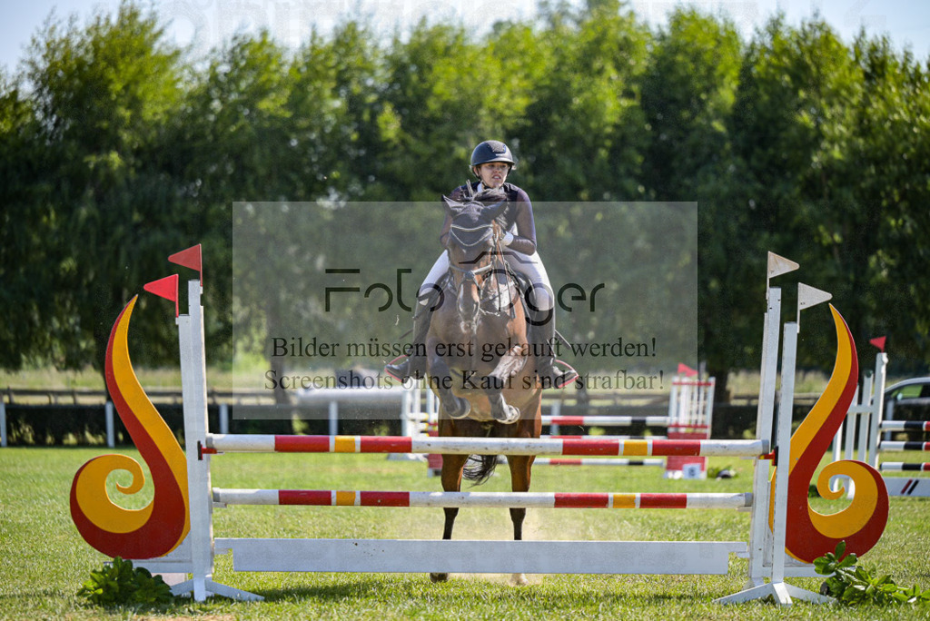 Reitturnier Voxtrup | Entdecke hochwertige Reitturnierfotos von Foto Oger. Professionell, emotional und authentisch – jetzt Lieblingsmomente im Shop bestellen.Deutschlandweite Turnierfotografie. - Realized with Pictrs.com