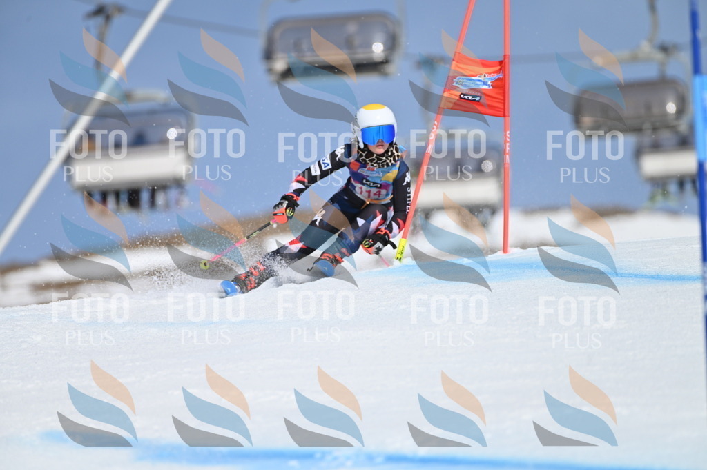 BGV_9692 | holidayphoto