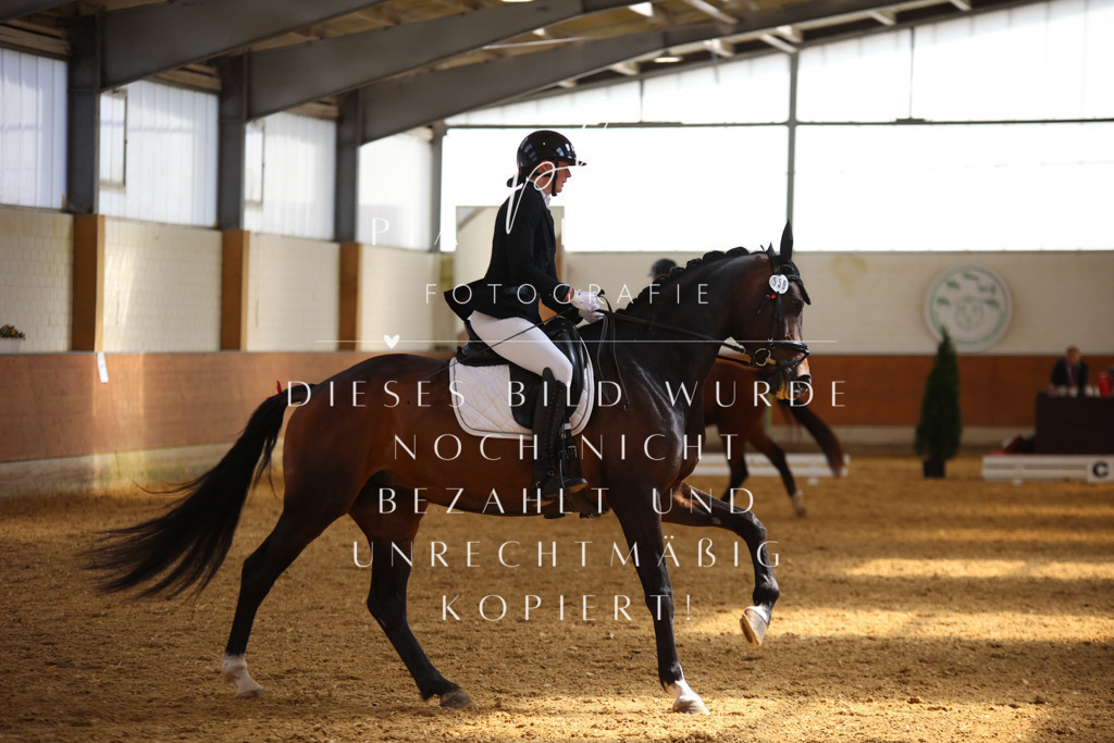 IMGT4363 | pl-fotografie