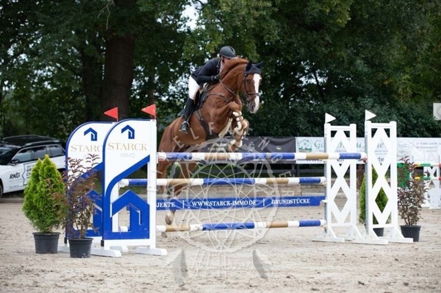 2B4A2437 | pixelfaenger - Realisiert mit Pictrs.com